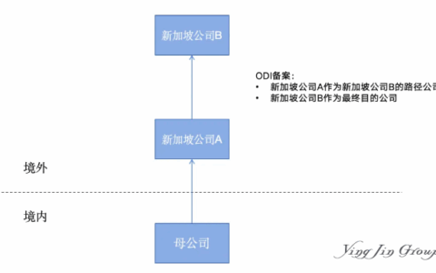 什么是ODI项下境外收益再投资？