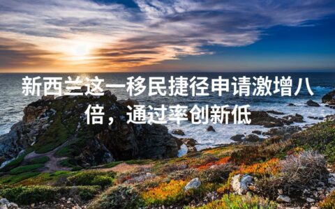 新西兰这一移民捷径申请激增八倍，通过率创新低