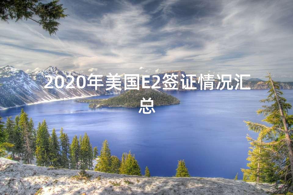 2020年美国E2签证情况汇总
