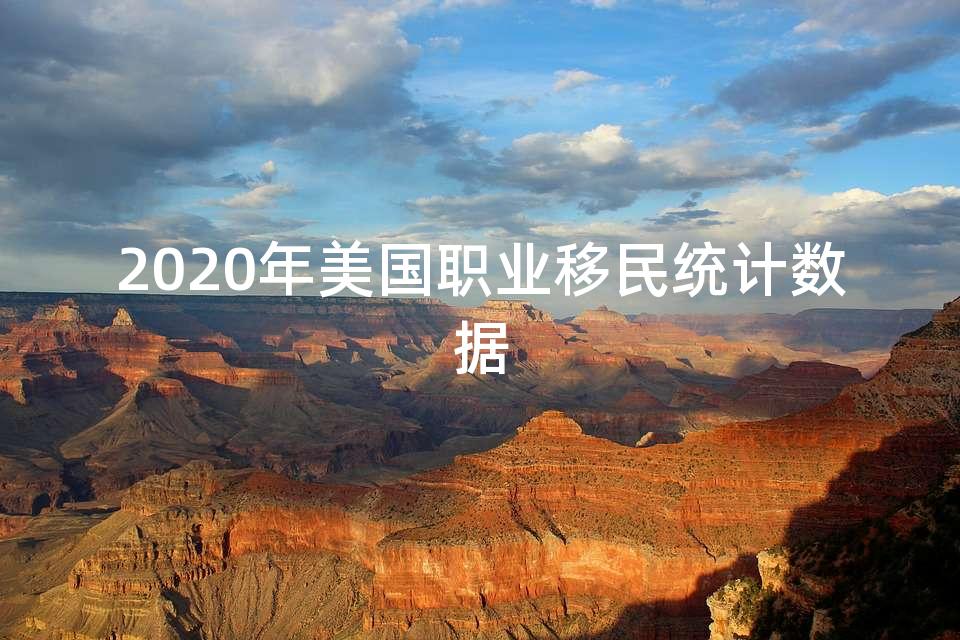 2020年美国职业移民统计数据