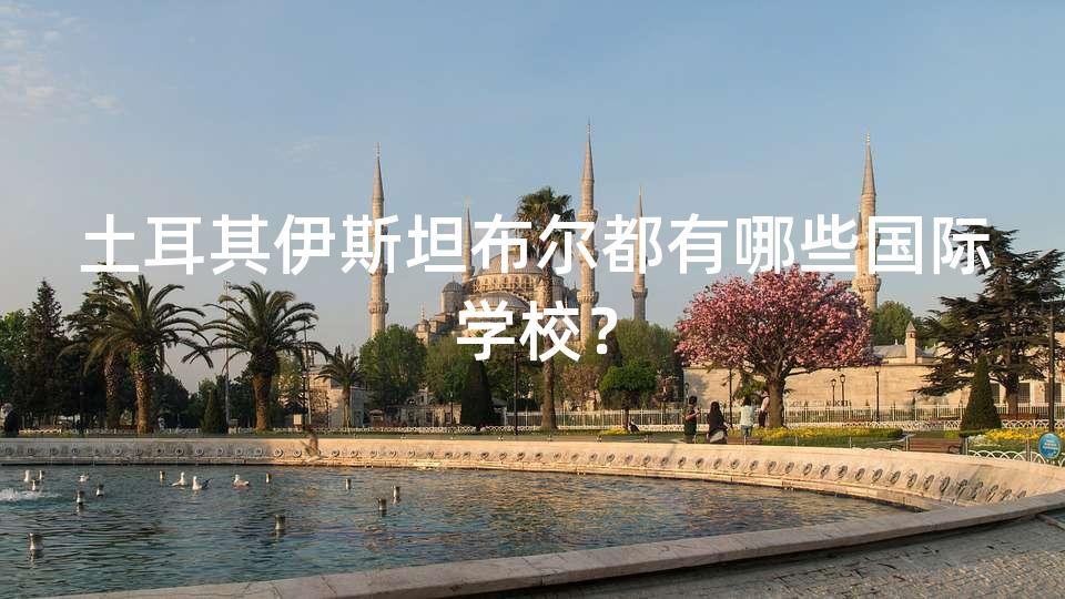 土耳其伊斯坦布尔都有哪些国际学校？