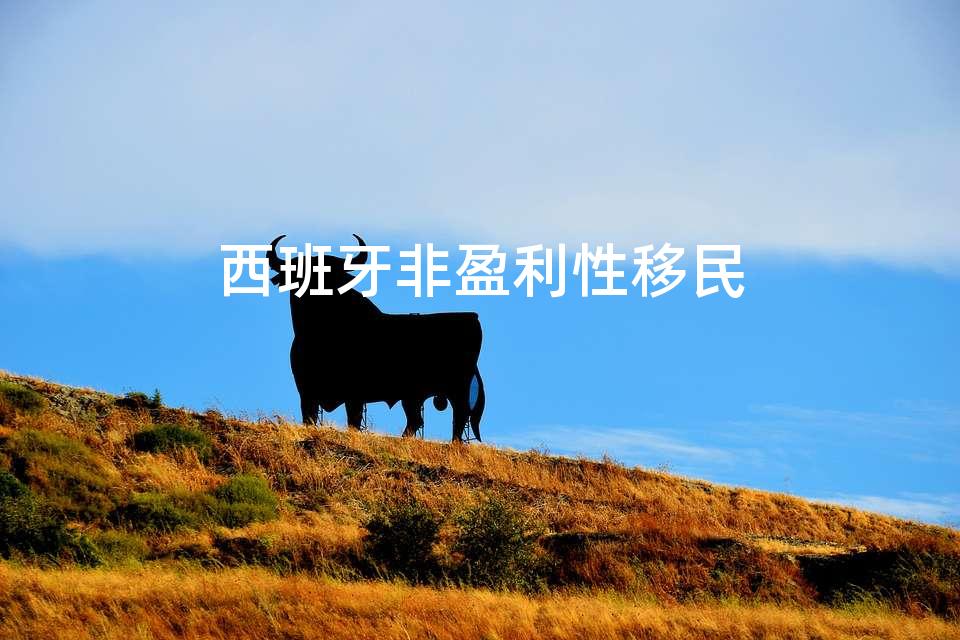 西班牙非盈利性移民