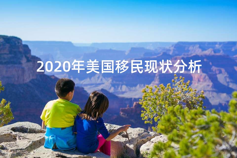 2020年美国移民现状分析 2020年美国移民现状分析