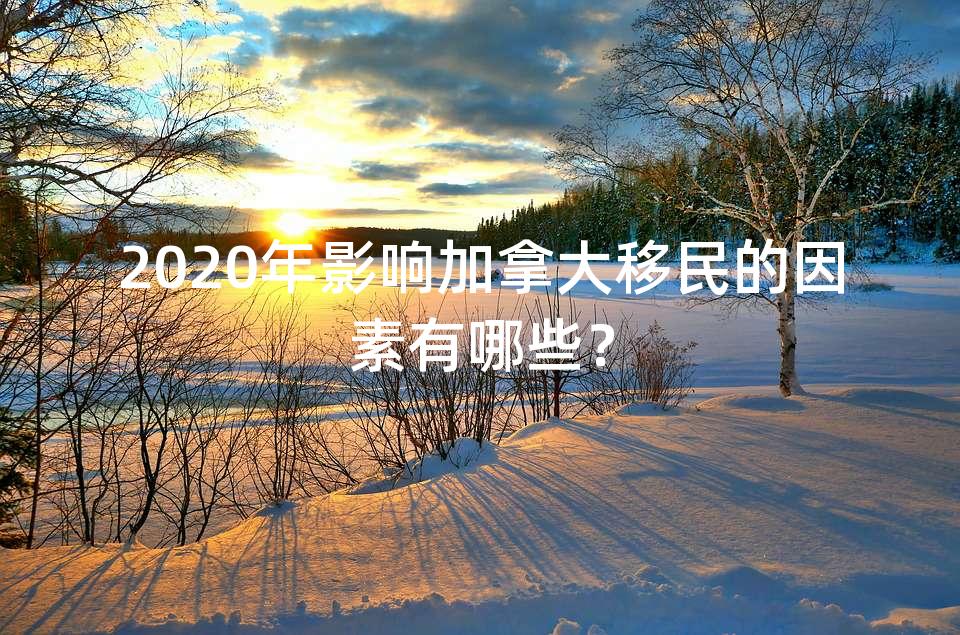 2020年影响加拿大移民的因素有哪些？