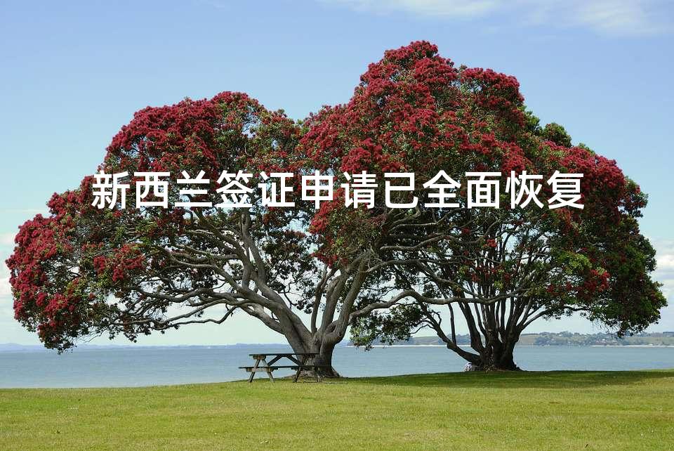 新西兰签证申请已全面恢复 新西兰签证申请已全面恢复