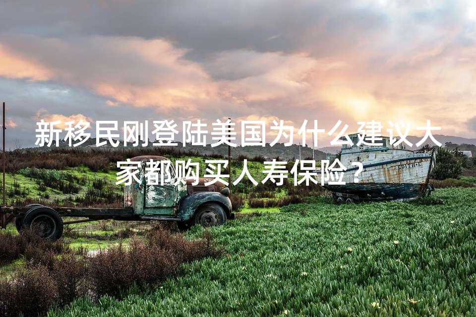 新移民刚登陆美国为什么建议大家都购买人寿保险? 新移民刚登陆美国为什么建议大家都购买人寿保险?