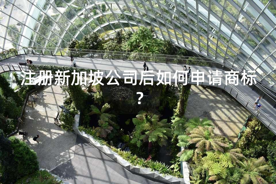 注册新加坡公司后如何申请商标？
