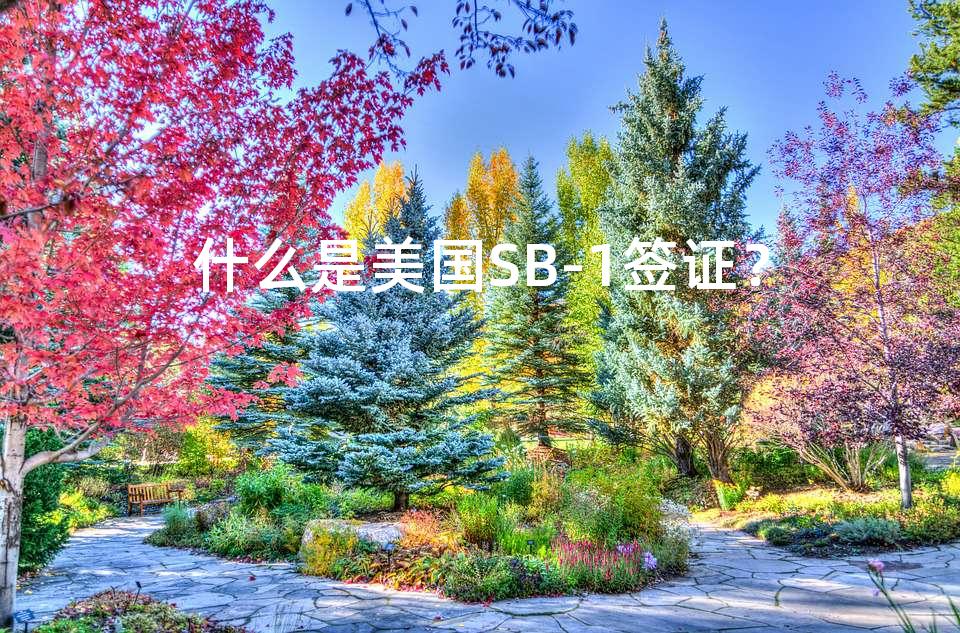 什么是美国SB-1签证？
