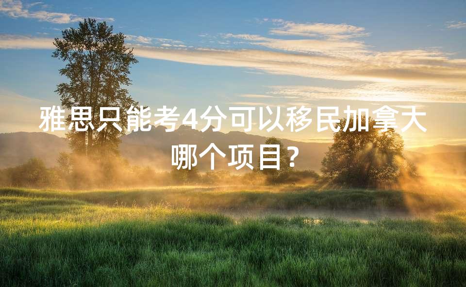雅思只能考4分可以移民加拿大哪个项目? 雅思只能考4分可以移民加拿大哪个项目?