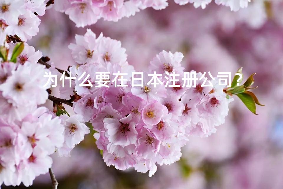 为什么要在日本注册公司? 为什么要在日本注册公司?