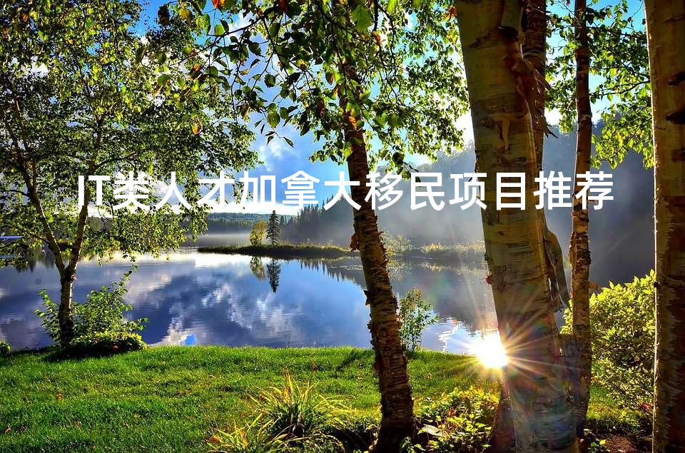 IT类人才加拿大移民项目推荐 IT类人才加拿大移民项目推荐
