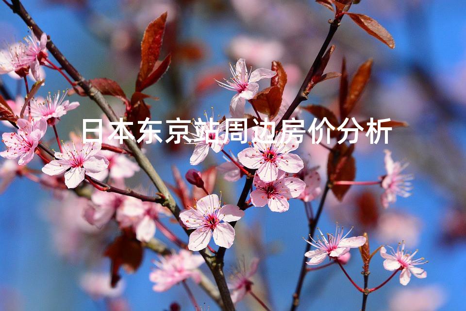 日本东京站周边房价分析
