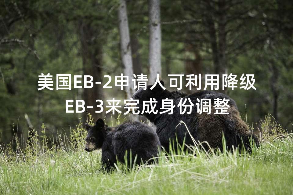 美国EB-2申请人可利用降级EB-3来完成身份调整