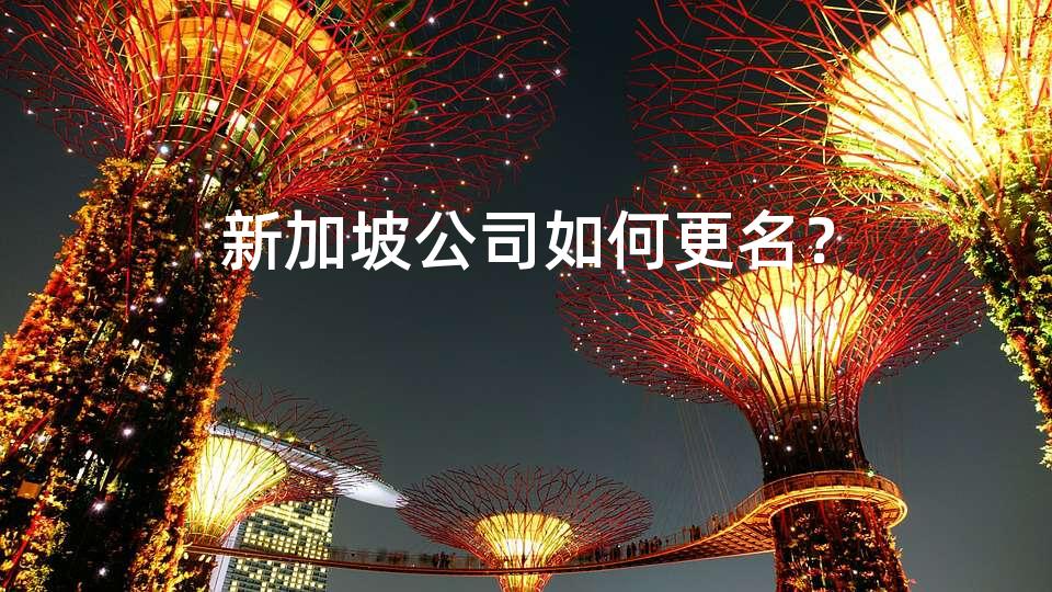新加坡公司如何更名? 新加坡公司如何更名?