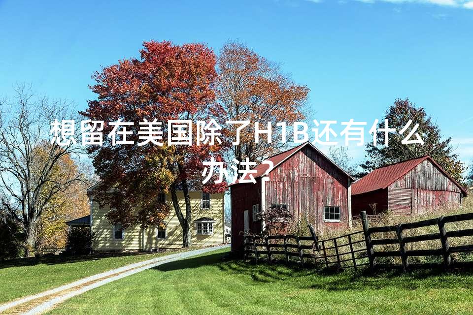 想留在美国除了H1B还有什么办法？