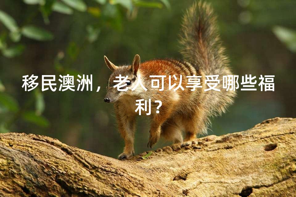 移民澳洲，老人可以享受哪些福利？