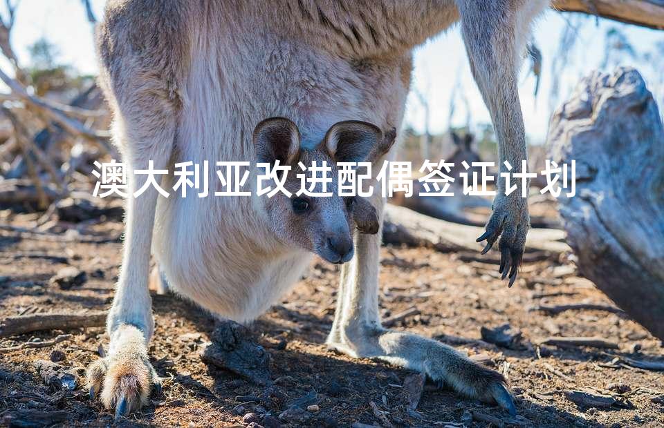澳大利亚改进配偶签证计划