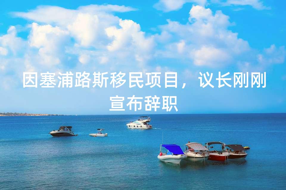 因塞浦路斯移民项目,议长刚刚宣布辞职 因塞浦路斯移民项目,议长刚刚宣布辞职