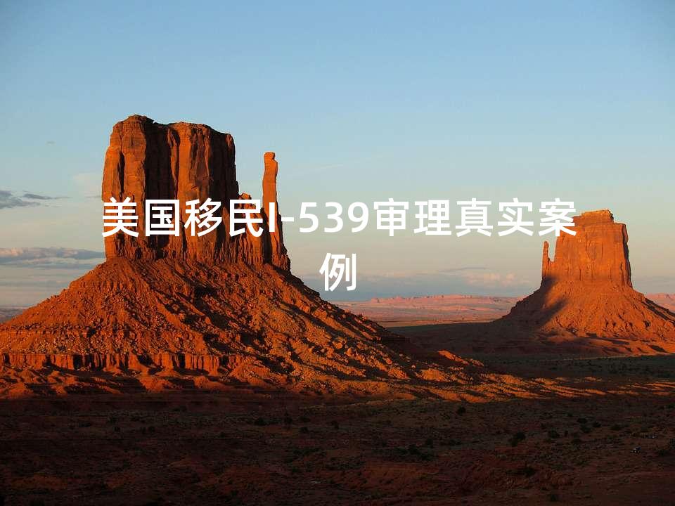 美国移民I-539审理真实案例