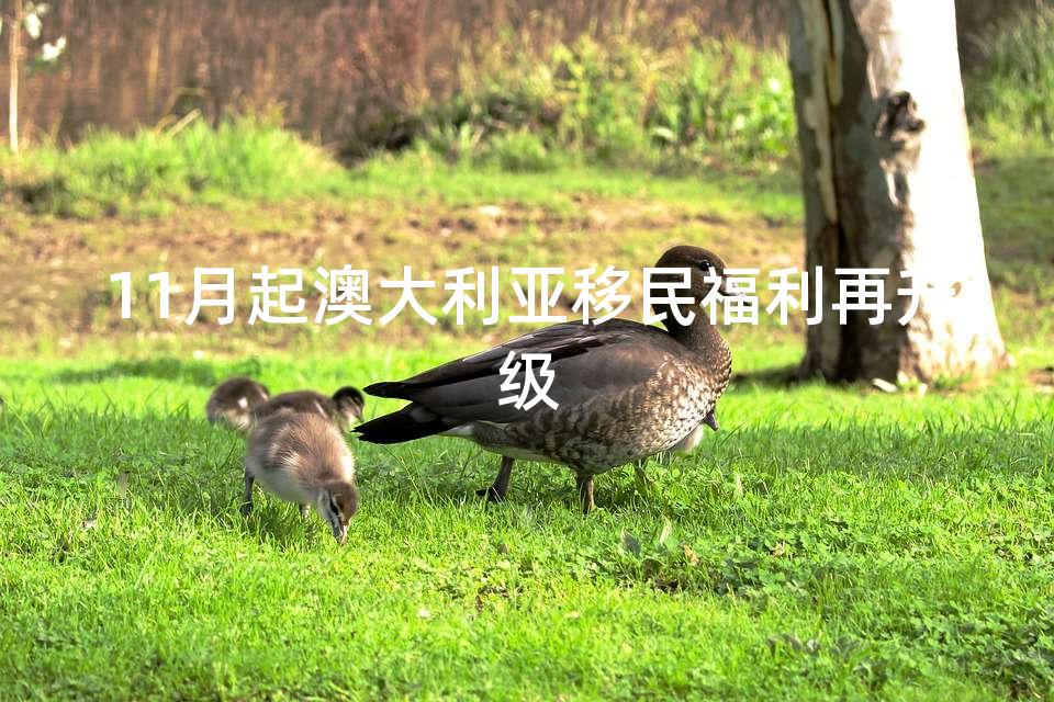 11月起澳大利亚移民福利再升级 11月起澳大利亚移民福利再升级