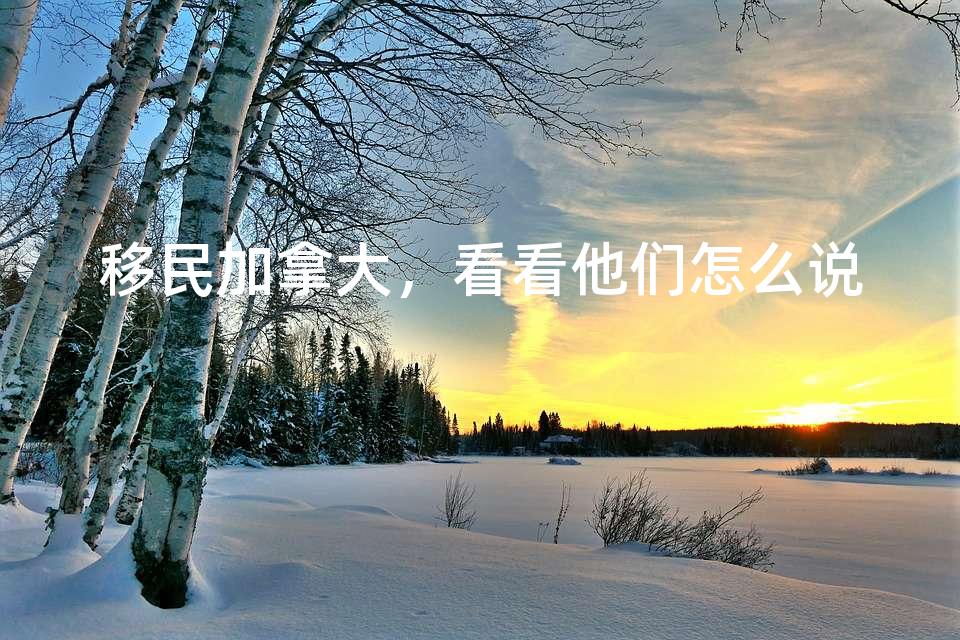移民加拿大,看看他们怎么说 移民加拿大,看看他们怎么说