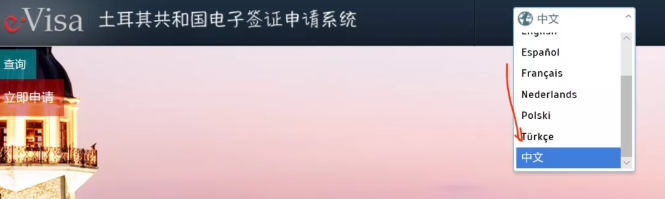 土耳其电子签证申请指南