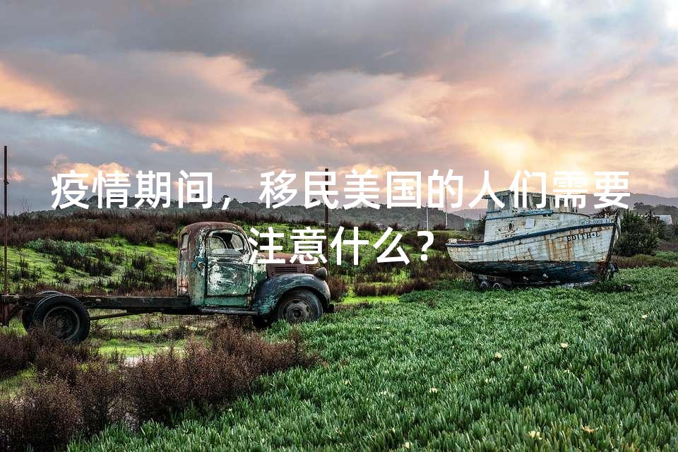 疫情期间,移民美国的人们需要注意什么? 疫情期间,移民美国的人们需要注意什么?