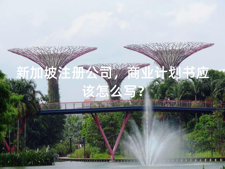 新加坡注册公司，商业计划书应该怎么写？