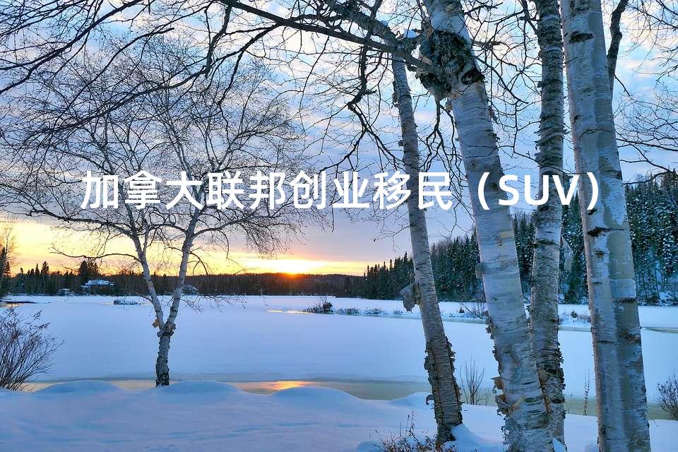 加拿大联邦创业移民（SUV）