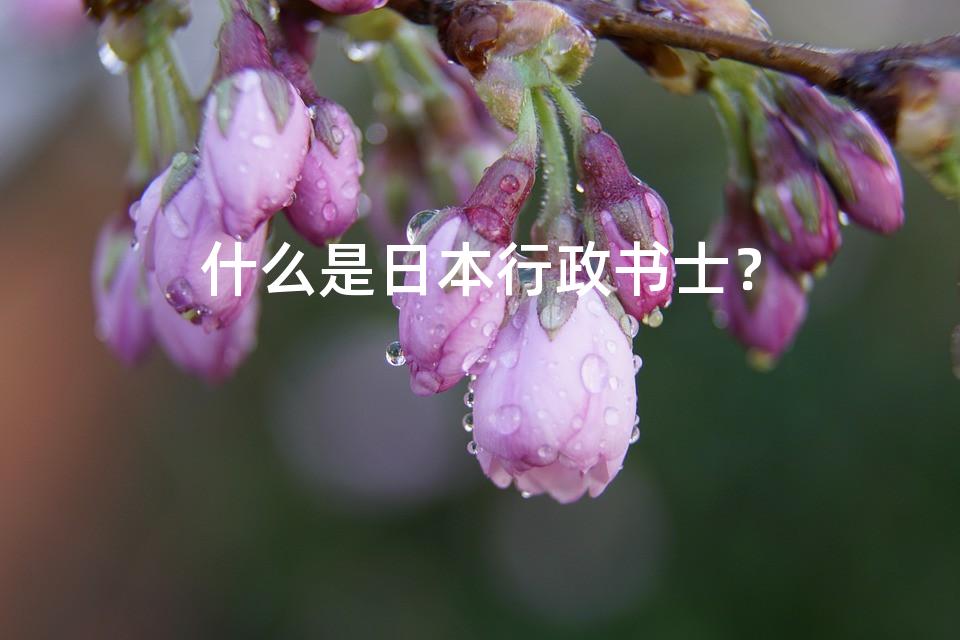 什么是日本行政书士？