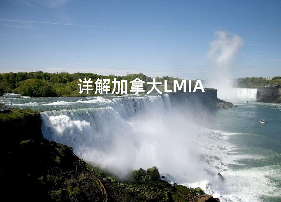 详解加拿大LMIA 详解加拿大LMIA