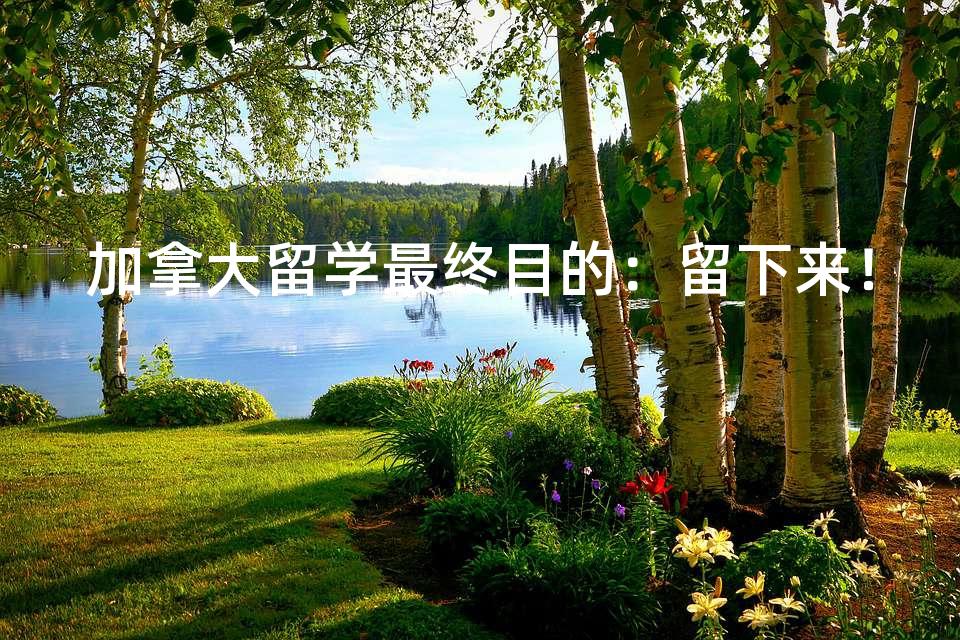 加拿大留学最终目的：留下来！