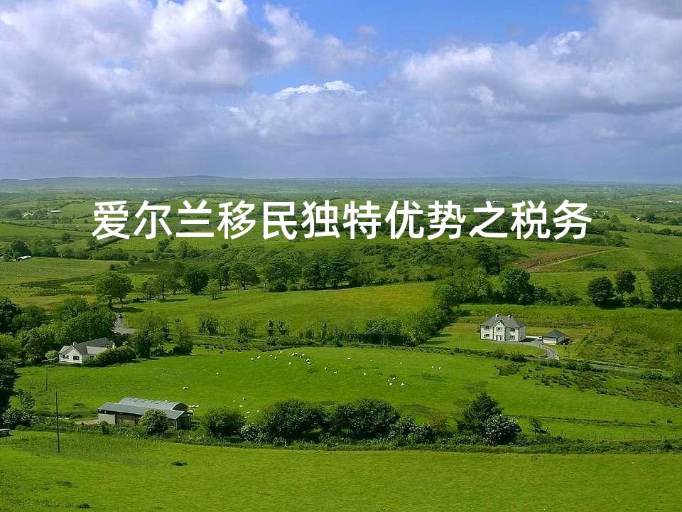 爱尔兰移民独特优势之税务