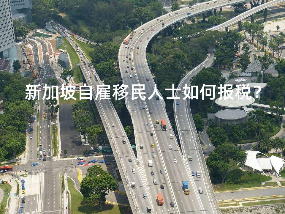 新加坡自雇移民人士如何报税？
