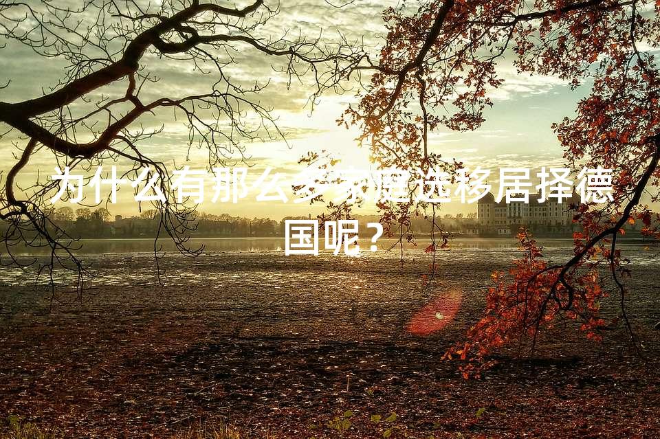 为什么有那么多家庭选移居择德国呢？