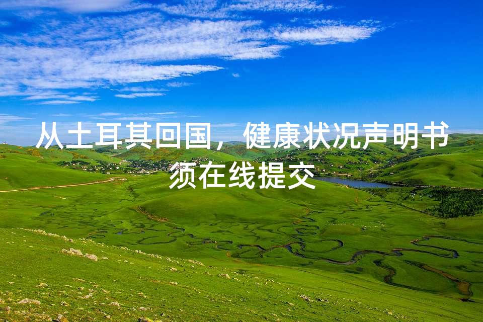 从土耳其回国，健康状况声明书须在线提交