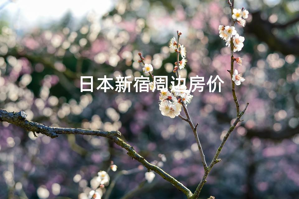 日本新宿周边房价