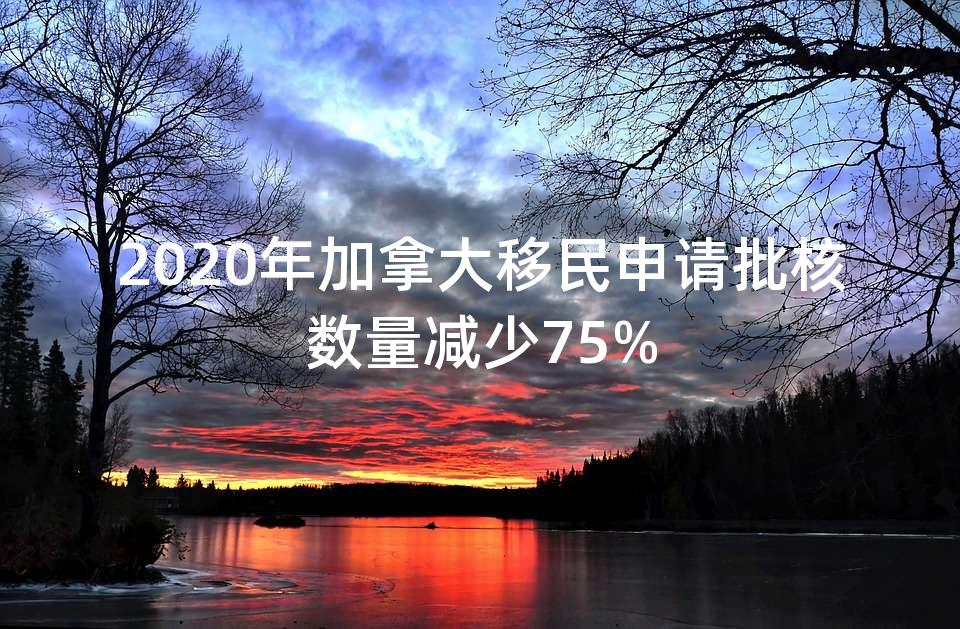 2020年加拿大移民申请批核数量减少75%