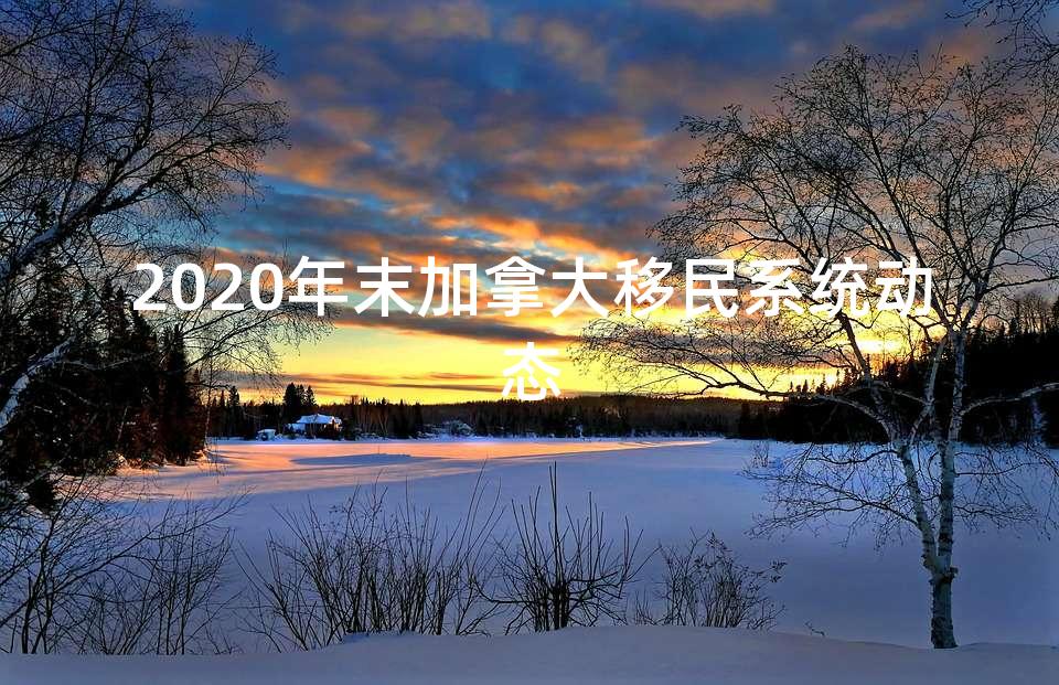 2020年末加拿大移民系统动态