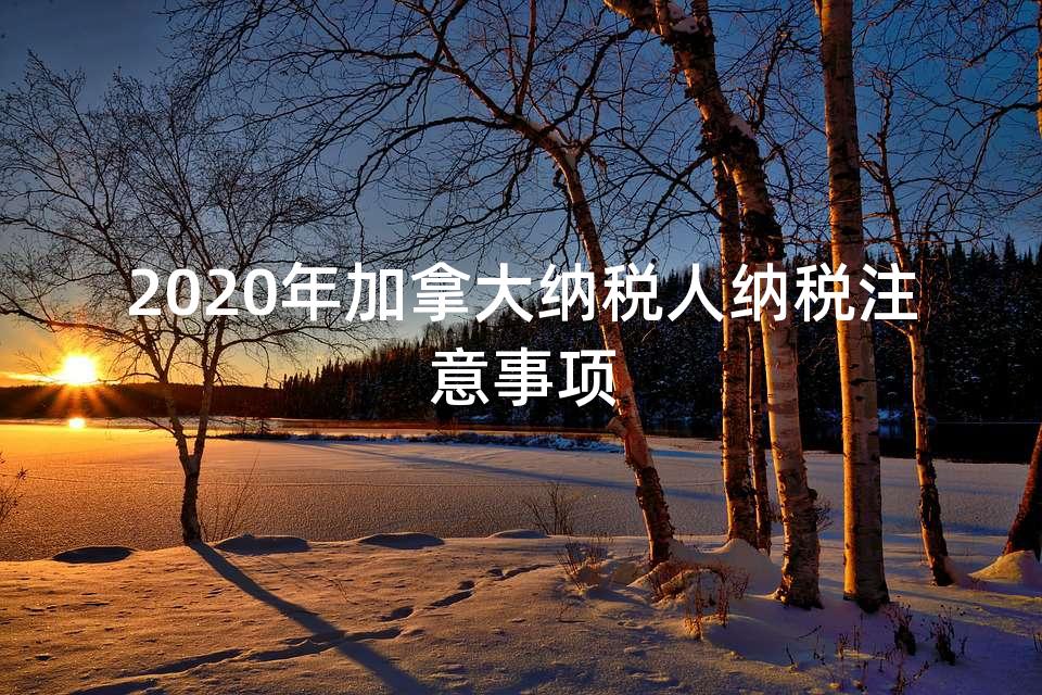 2020年加拿大纳税人纳税注意事项
