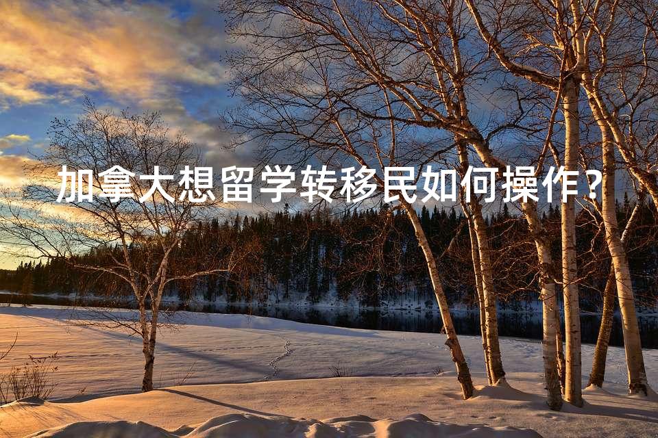 加拿大想留学转移民如何操作？