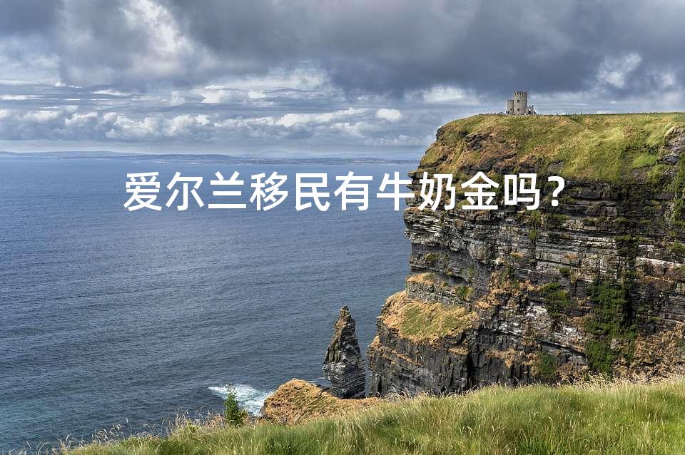 爱尔兰移民有牛奶金吗？