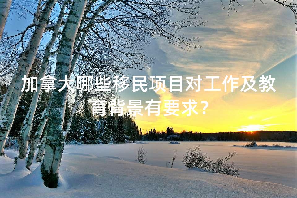 加拿大哪些移民项目对工作及教育背景有要求? 加拿大哪些移民项目对工作及教育背景有要求?