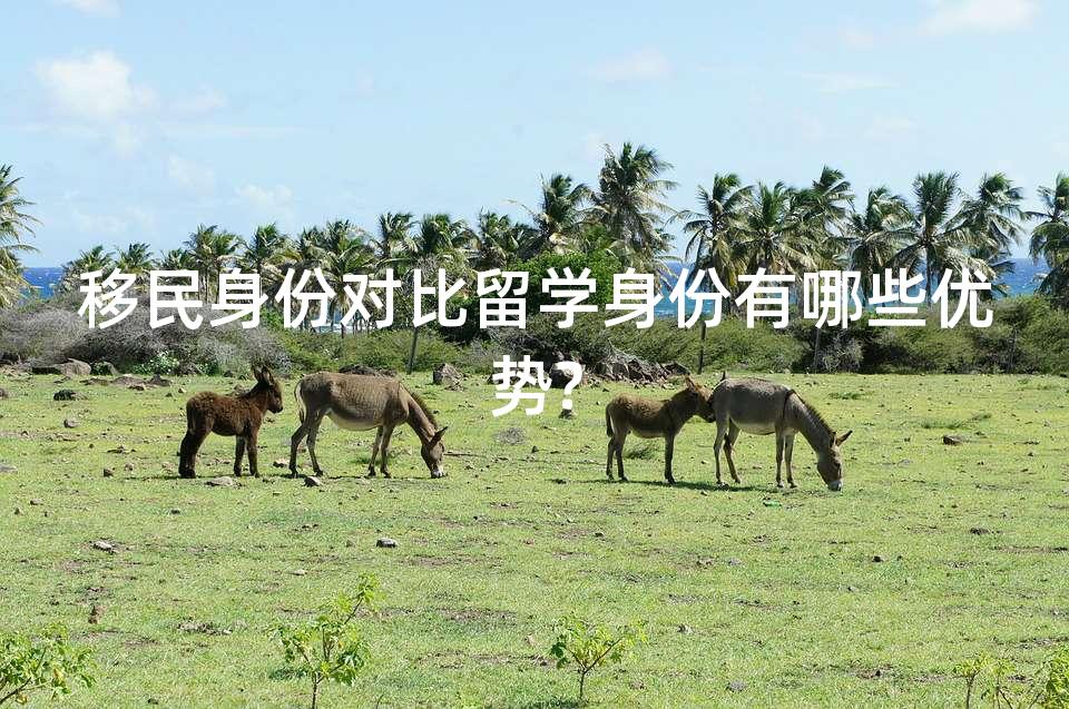 移民身份对比留学身份有哪些优势?