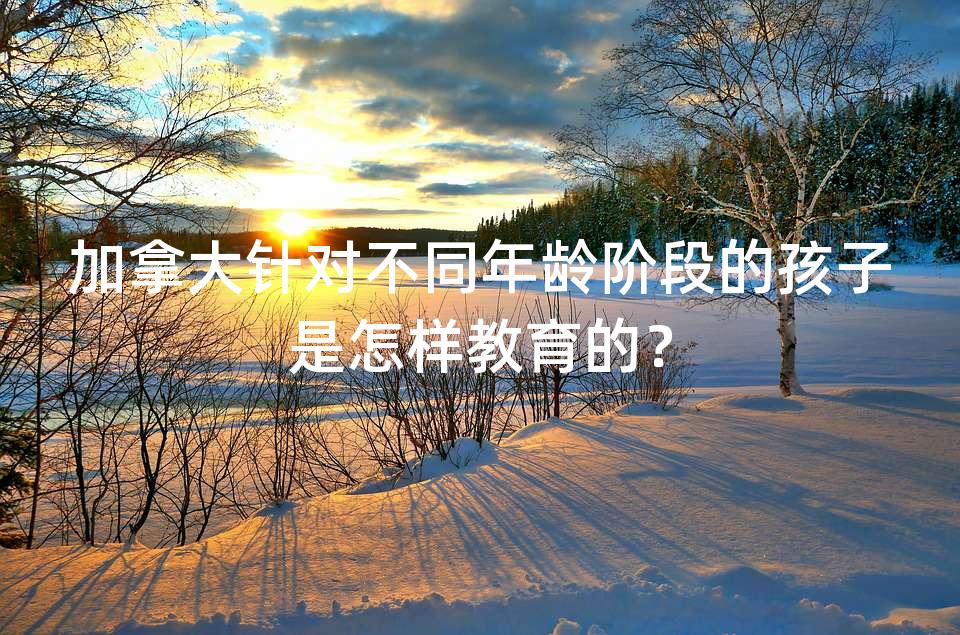 加拿大针对不同年龄阶段的孩子是怎样教育的? 加拿大针对不同年龄阶段的孩子是怎样教育的?