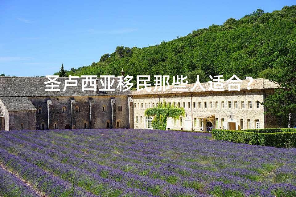 圣卢西亚移民那些人适合？