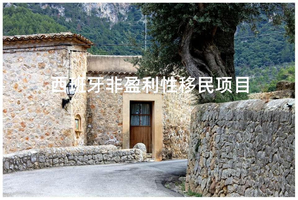 西班牙非盈利性移民项目