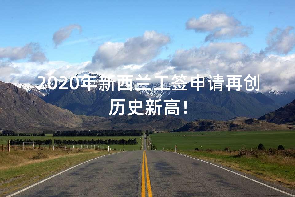 2020年新西兰工签申请再创历史新高！