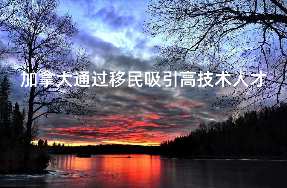 加拿大通过移民吸引高技术人才