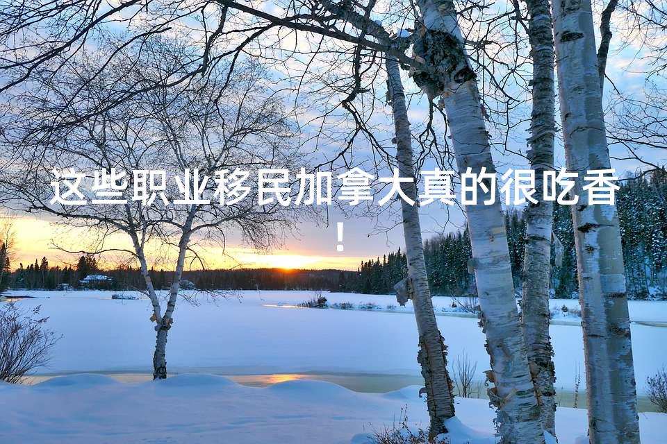 这些职业移民加拿大真的很吃香！